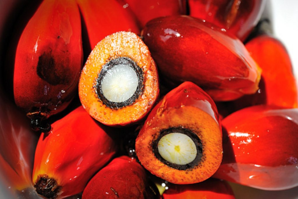 Premium Palm Oil